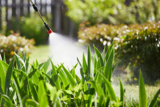 24/7 Emergency Fumigation Services experts in Terrell, TX