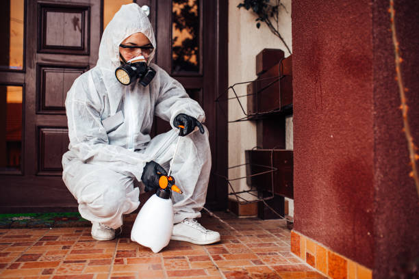 Reliable Fumigation Services contractor in Terrell, TX by Nex Pest Control