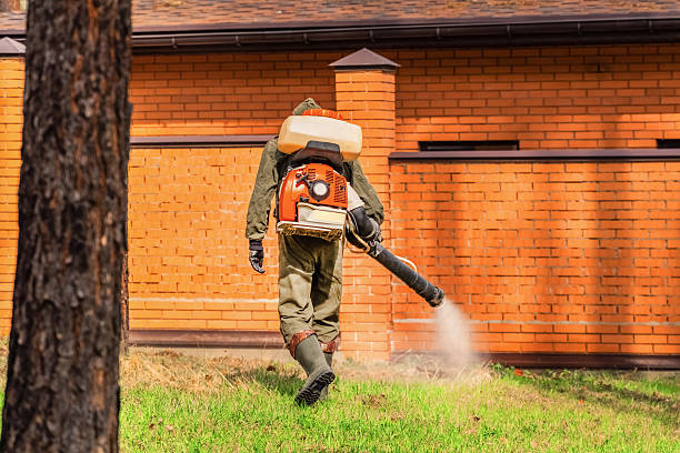 Trusted Termite Control service in Terrell, TX - Nex Pest Control